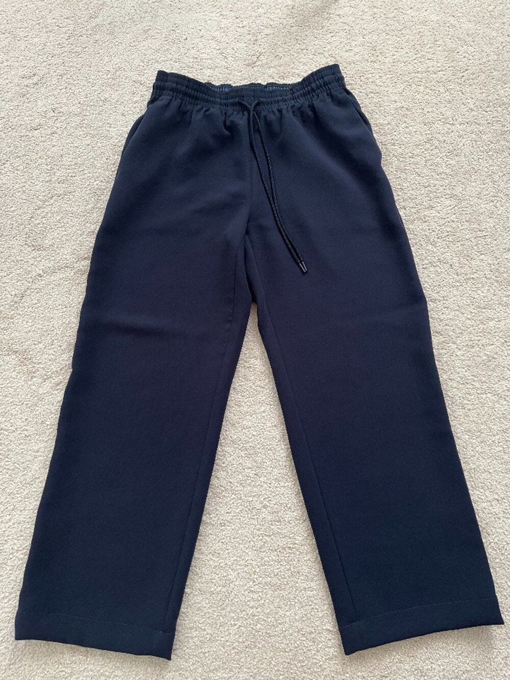 Aritzia Wilfred Thesis Pant